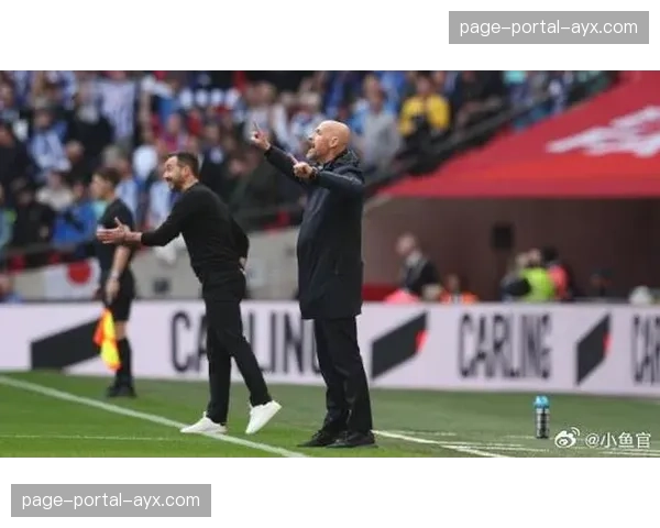 电讯报：纽卡斯尔已接触布莱顿主帅德泽尔比